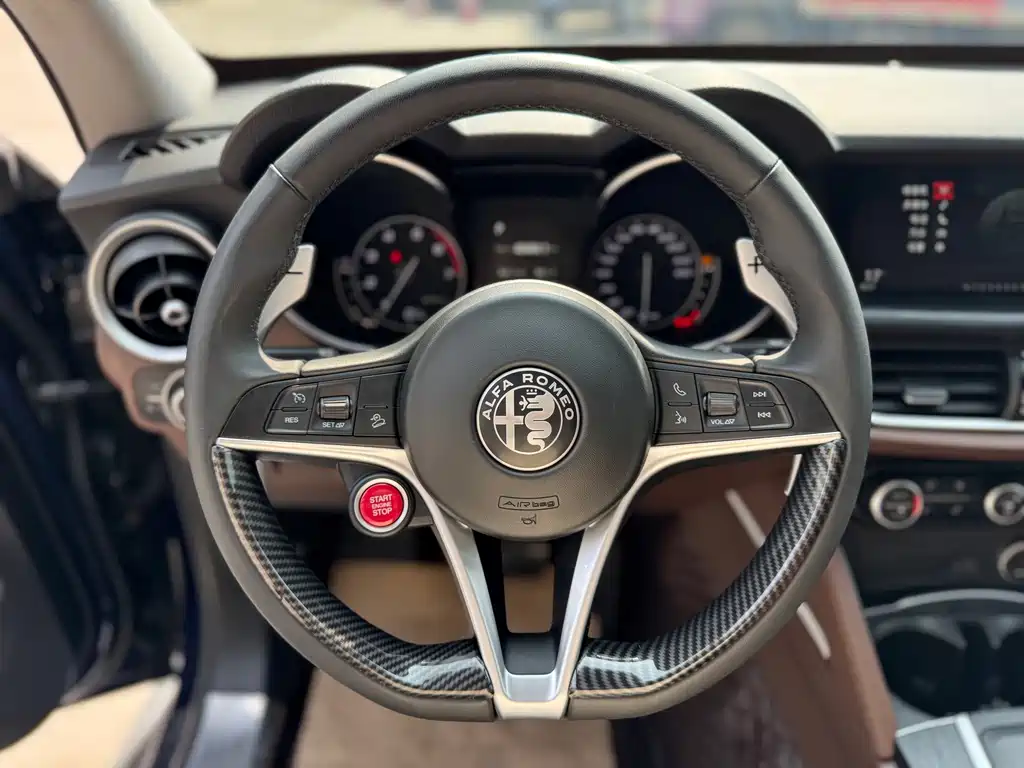 Alfa Romeo Stelvio — фото 11