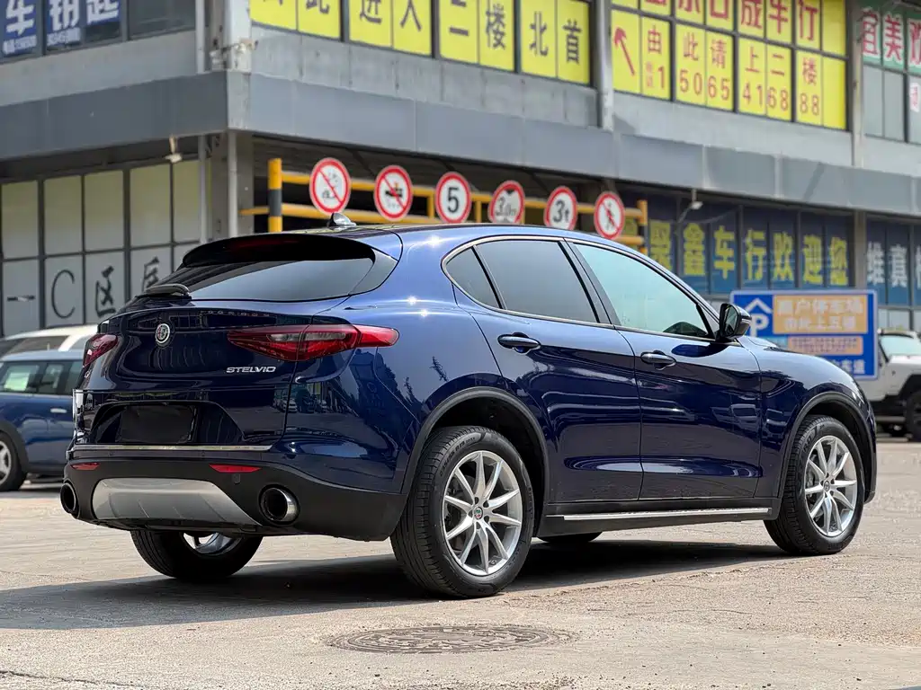 Alfa Romeo Stelvio — фото 8