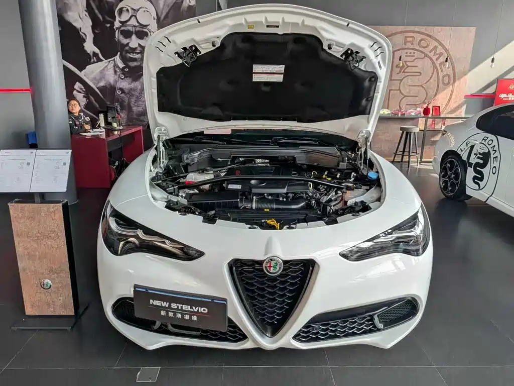 Alfa Romeo Stelvio — фото 14