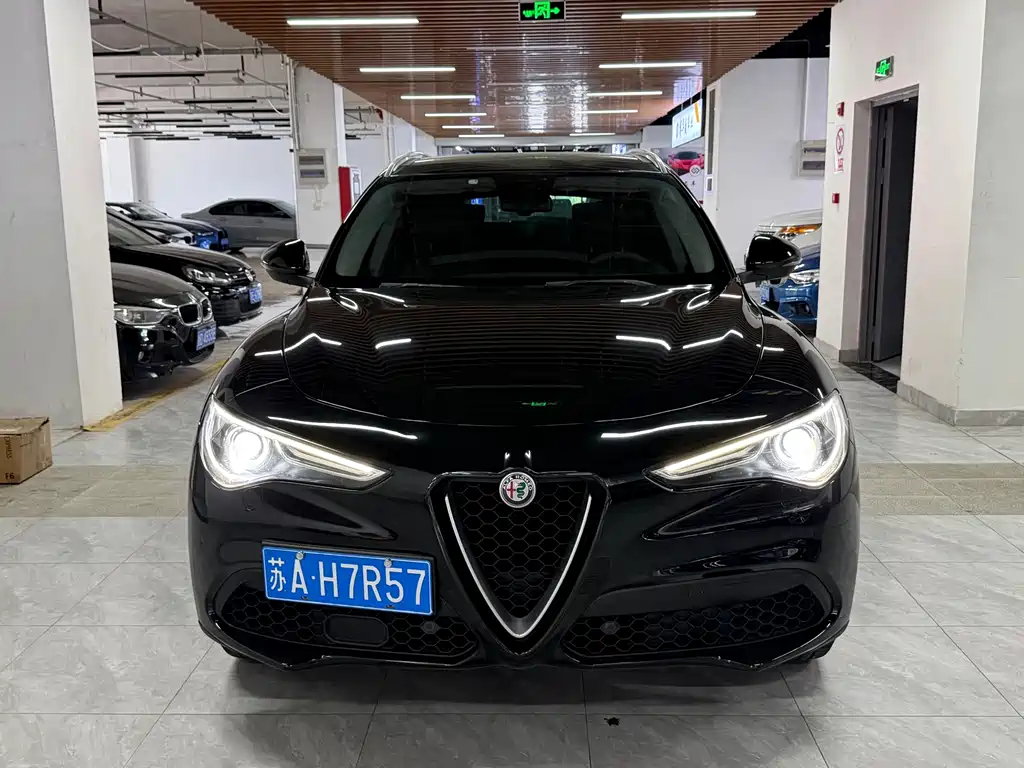 Alfa Romeo Stelvio — фото 2