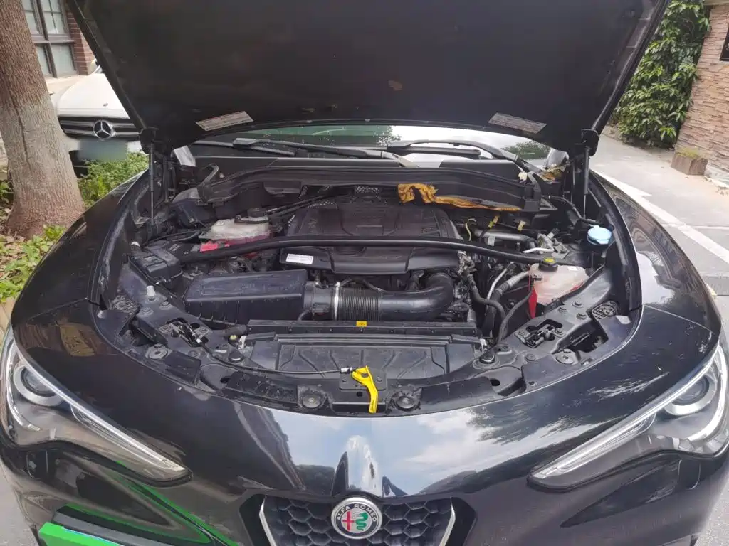 Alfa Romeo Stelvio — фото 11