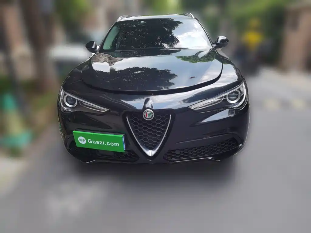 Alfa Romeo Stelvio — фото 24