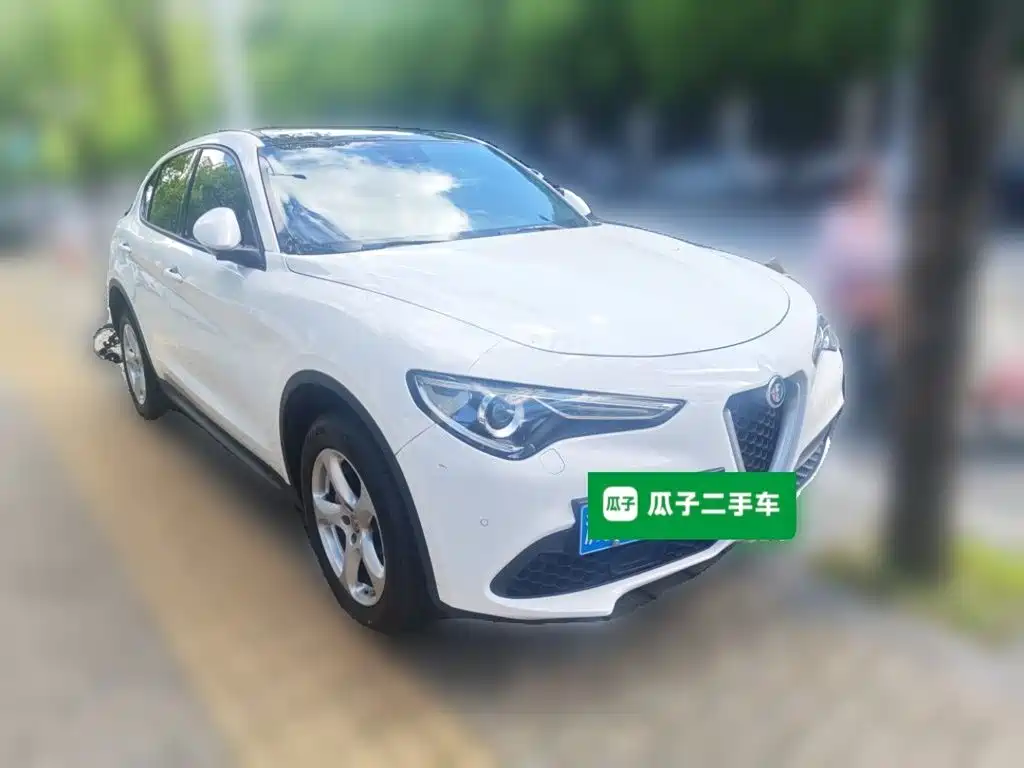 Alfa Romeo Stelvio — фото 19