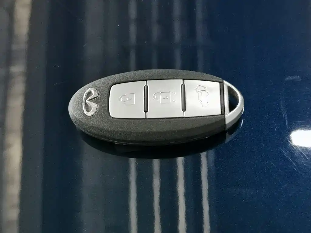 Infiniti QX60 (Import) — фото 19