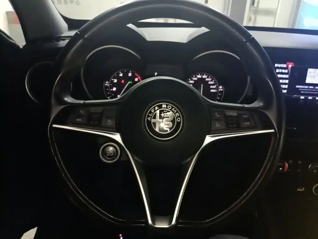 Alfa Romeo Stelvio — фото 11