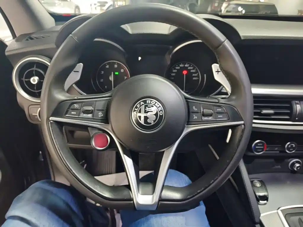 Alfa Romeo Stelvio — фото 11