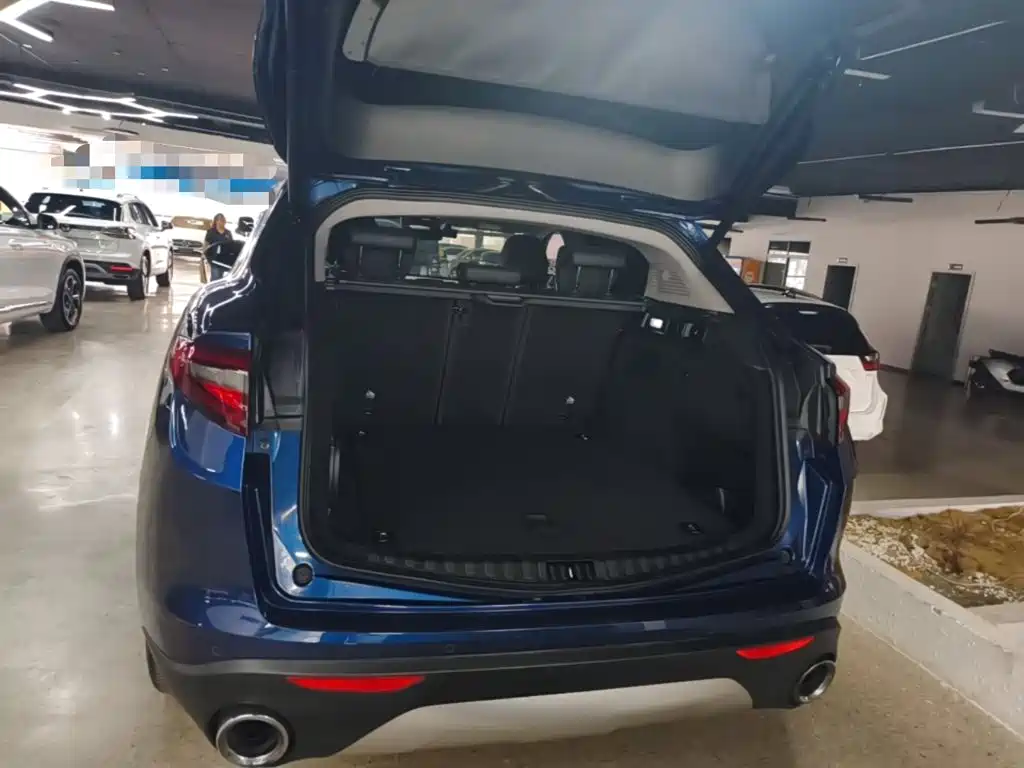 Alfa Romeo Stelvio — фото 19