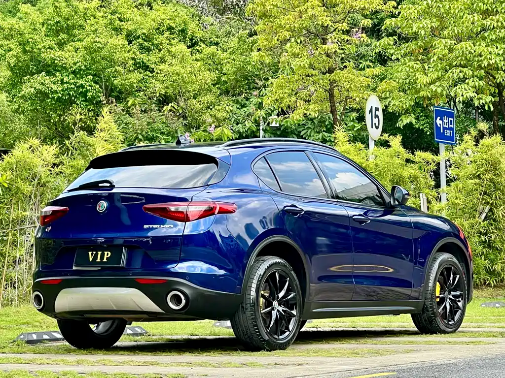 Alfa Romeo Stelvio — фото 11