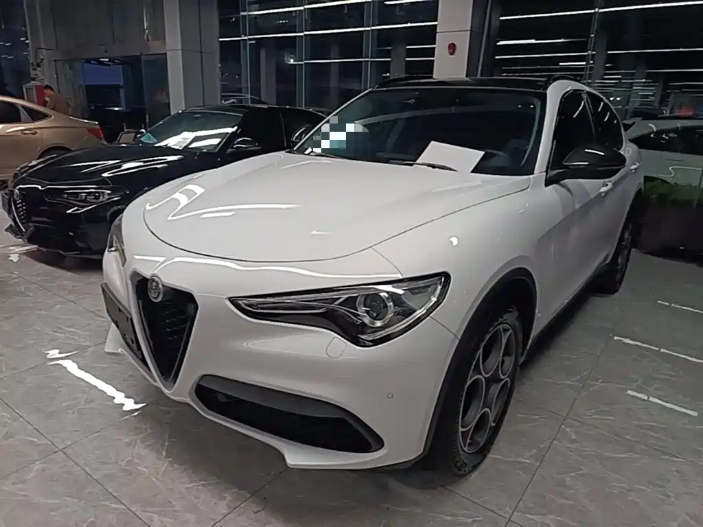 Alfa Romeo Stelvio — фото 2