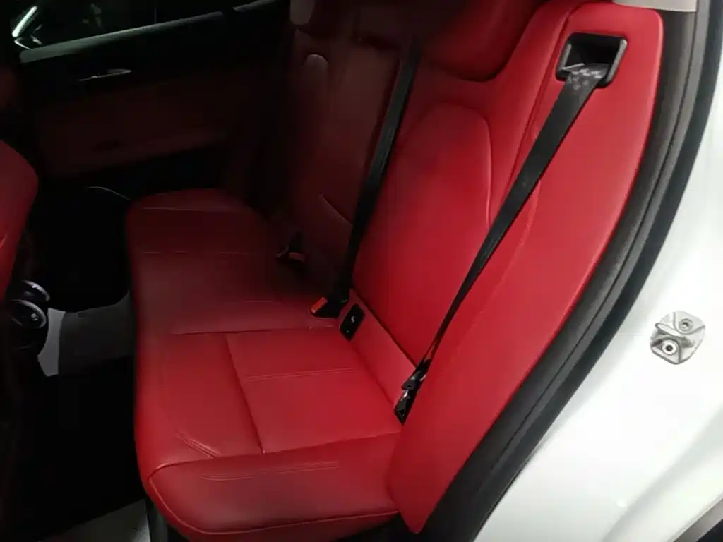 Alfa Romeo Stelvio — фото 17