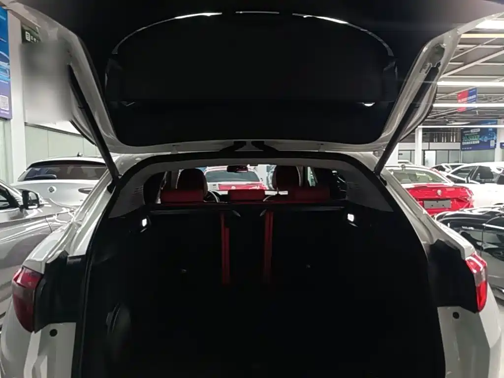 Alfa Romeo Stelvio — фото 19