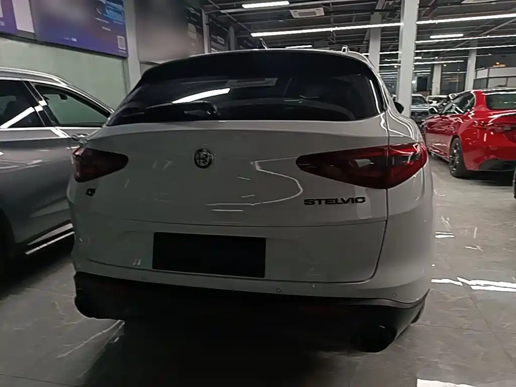 Alfa Romeo Stelvio — фото 6