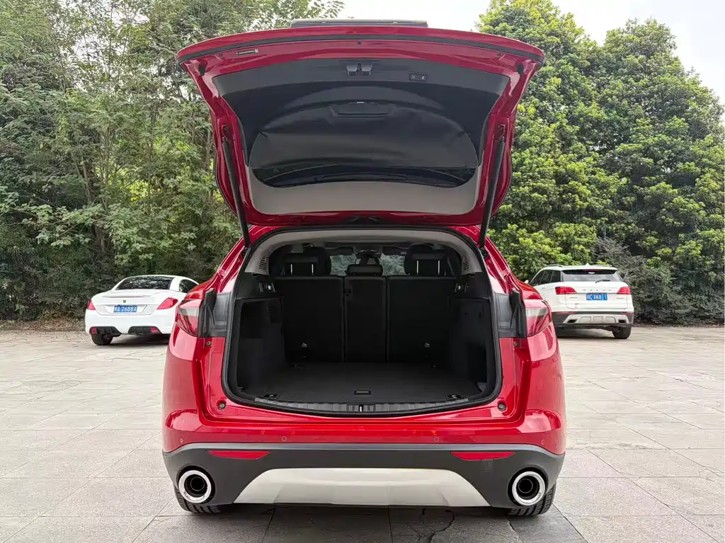 Alfa Romeo Stelvio — фото 13