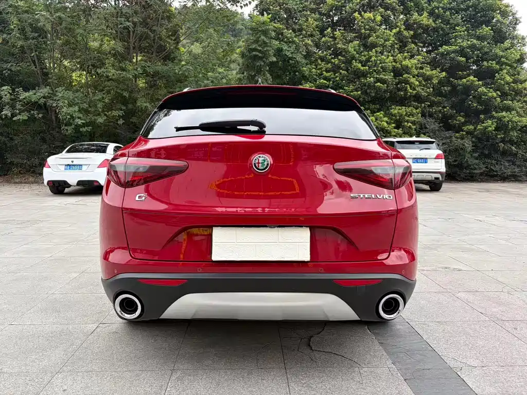Alfa Romeo Stelvio — фото 8