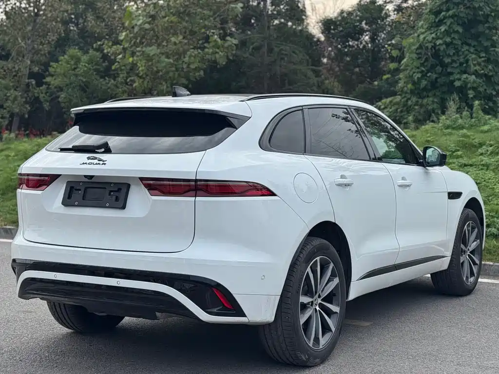 Jaguar F-PACE — фото 13