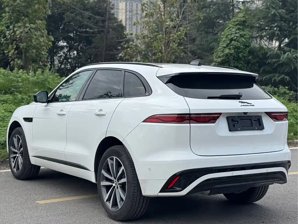 Jaguar F-PACE — фото 15