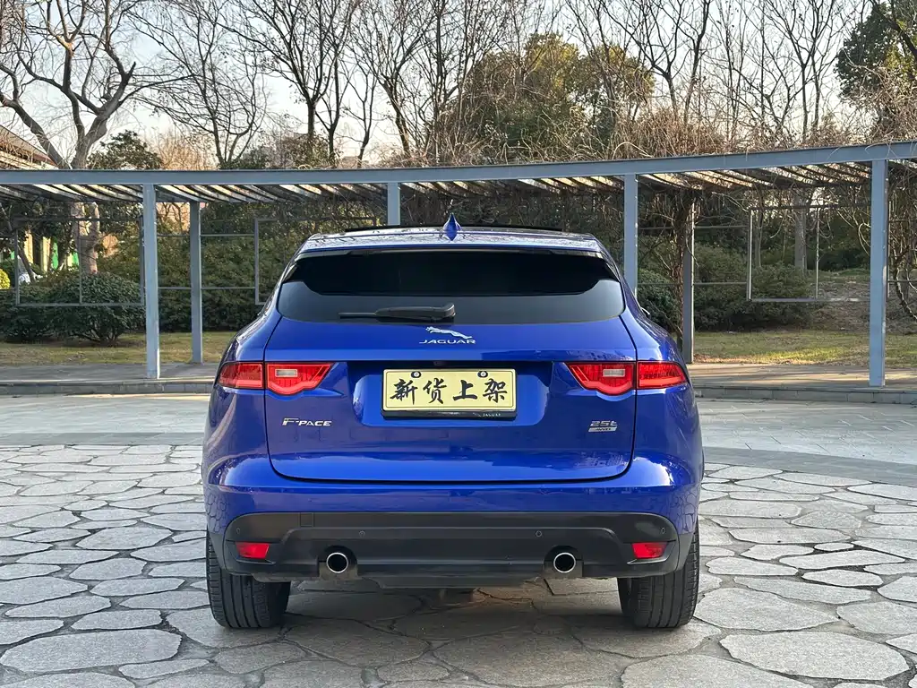 Jaguar F-PACE — фото 14