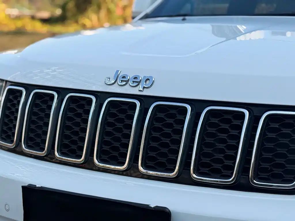 Jeep Grand Cherokee (Import) — фото 9