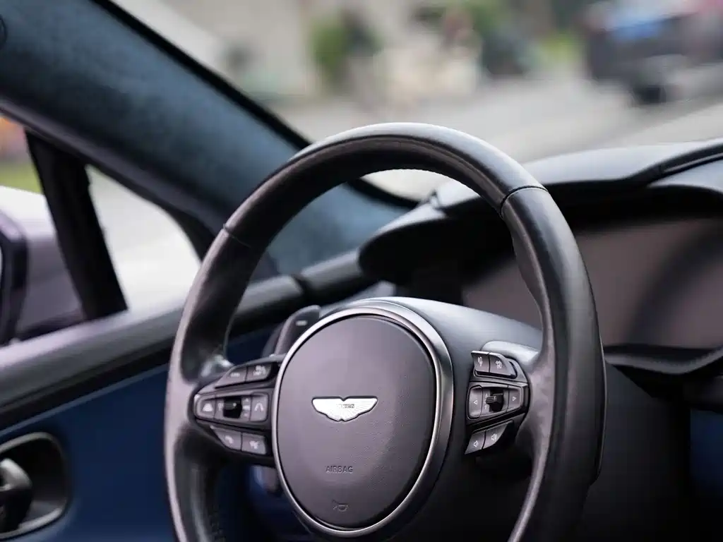Aston Martin DBX — фото 13