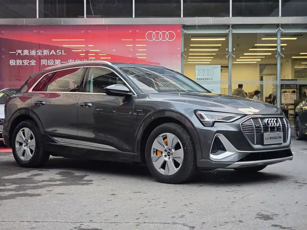 Audi e-tron — фото 4