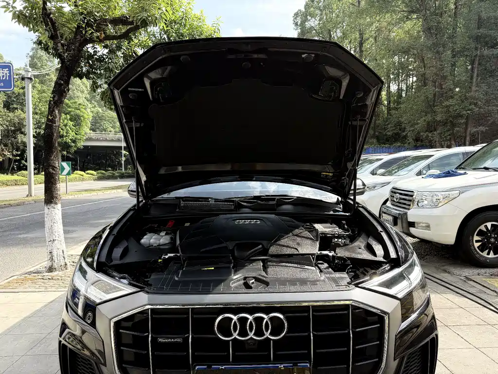 Audi Q8 — фото 17