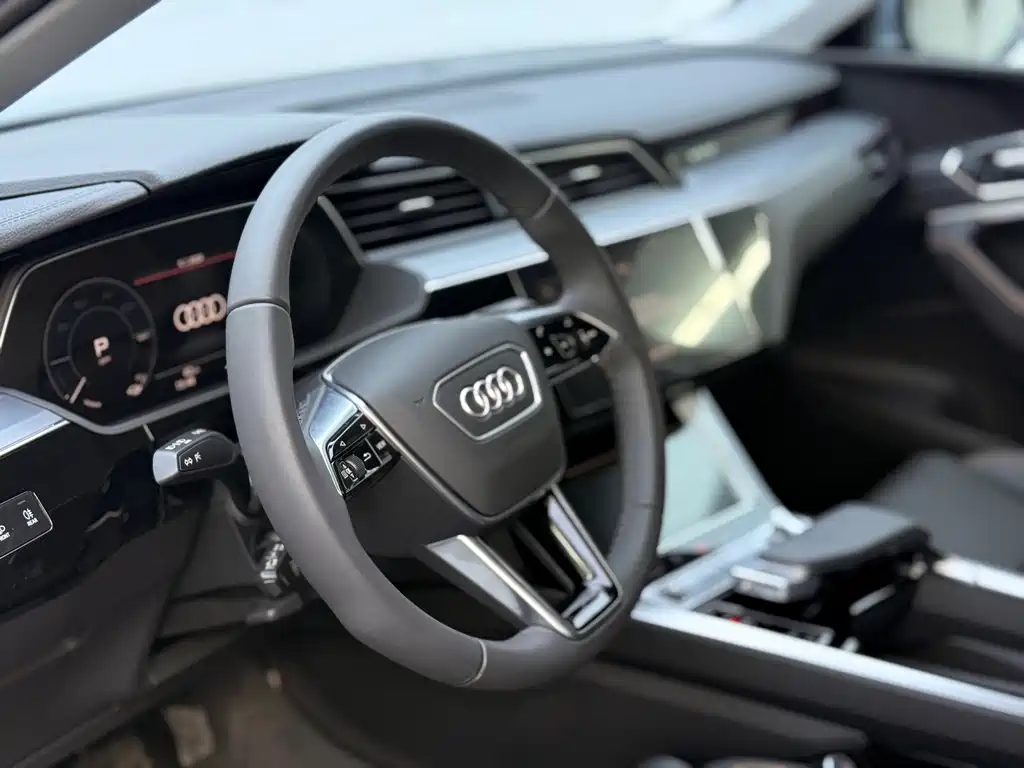 Audi e-tron — фото 21
