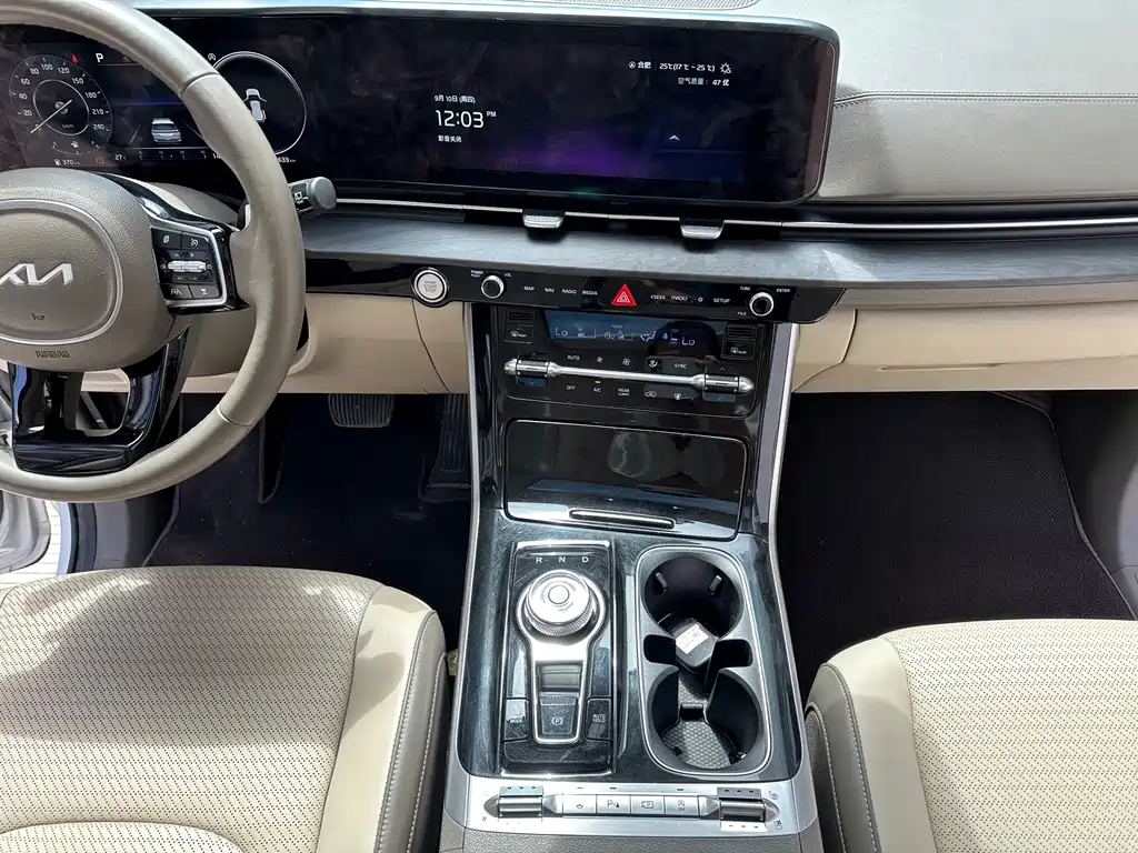 Kia Carnival — фото 15