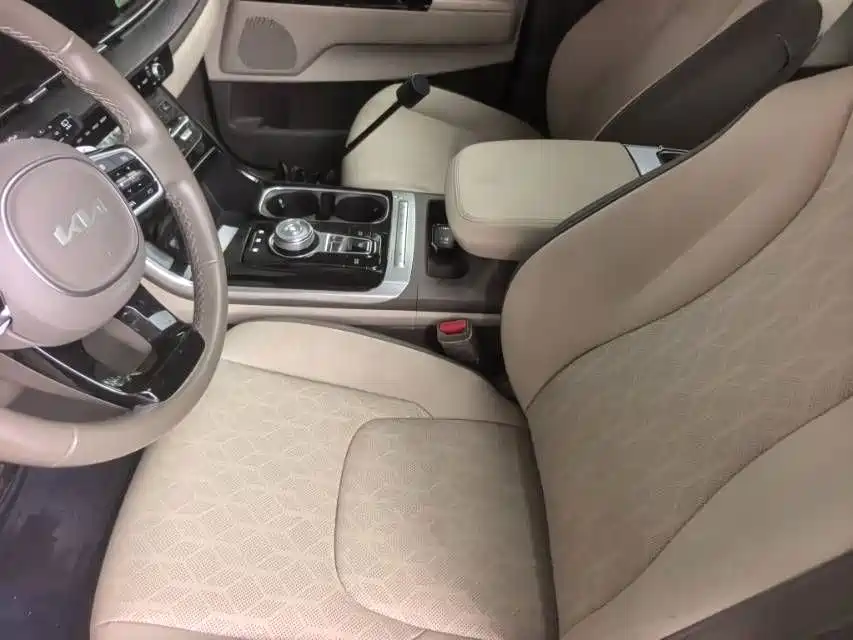 Kia Carnival — фото 6