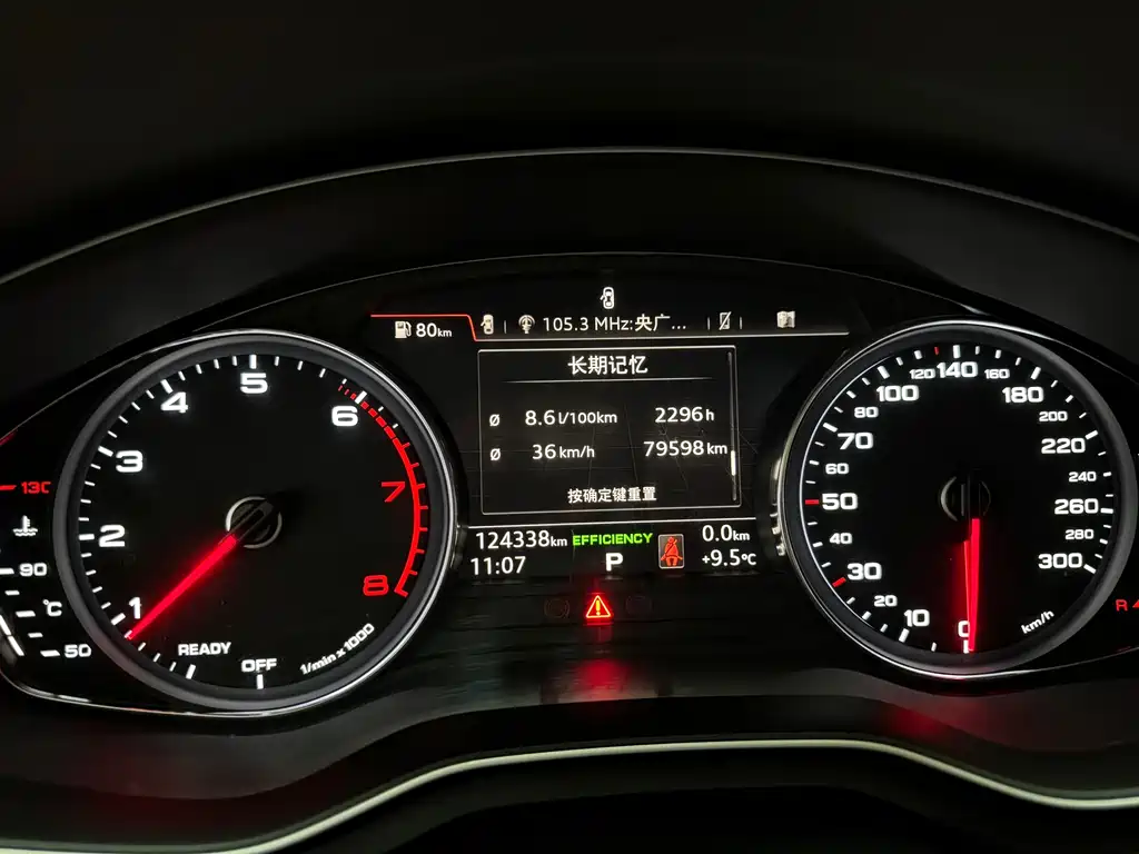 Audi A5 (Import) — фото 9