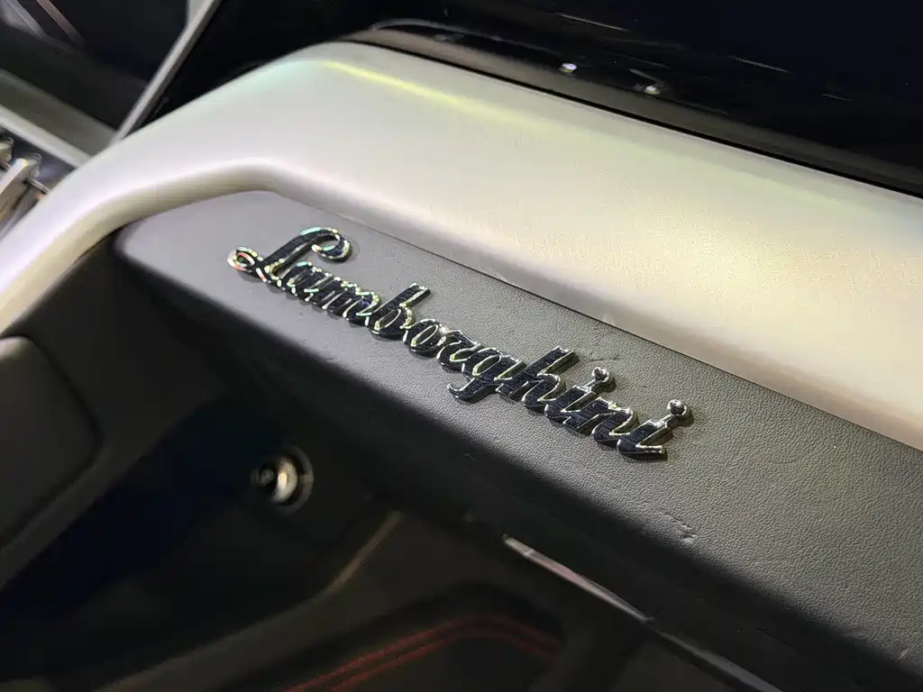 Lamborghini Urus — фото 20