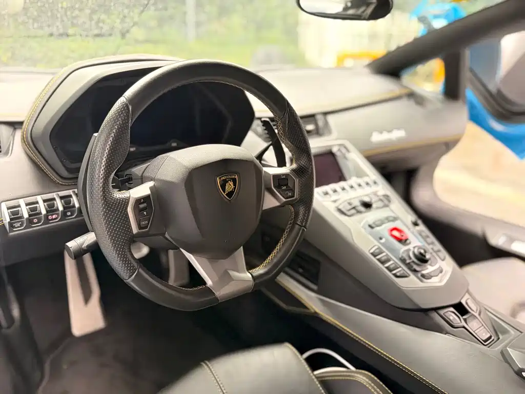 Lamborghini Aventador — фото 10
