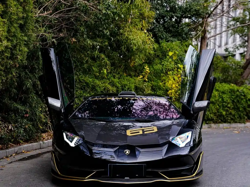 Lamborghini Aventador — фото 2