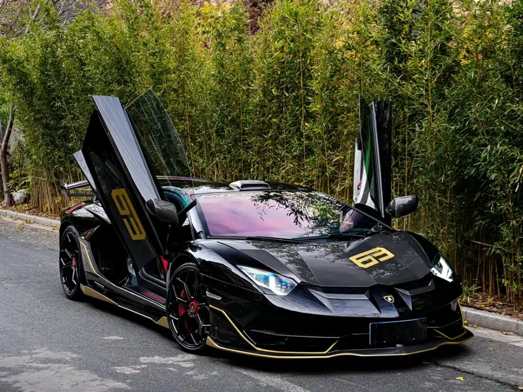 Lamborghini Aventador — фото 18