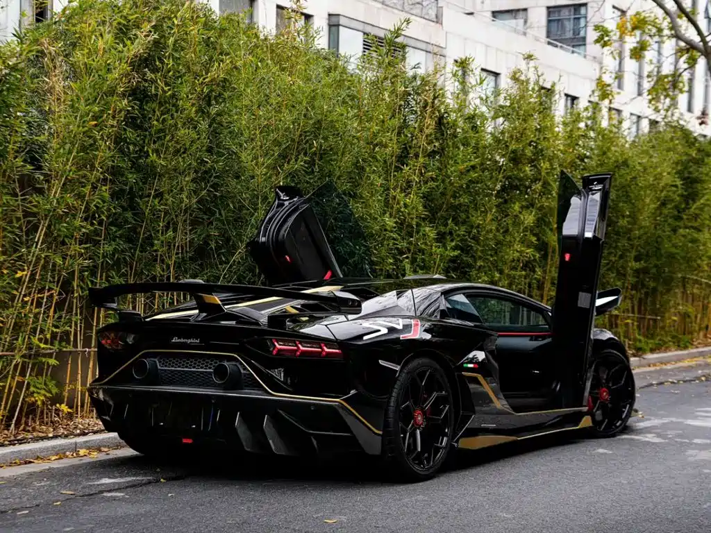 Lamborghini Aventador — фото 19