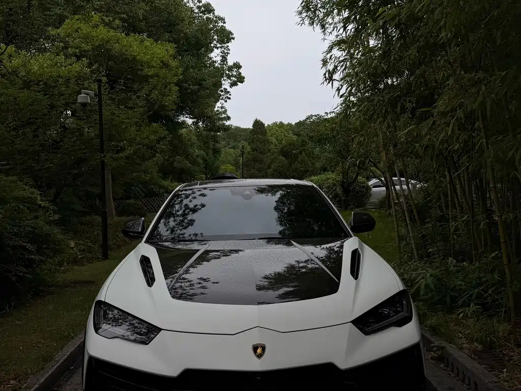 Lamborghini Urus — фото 2