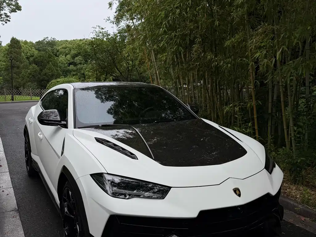Lamborghini Urus — фото 3