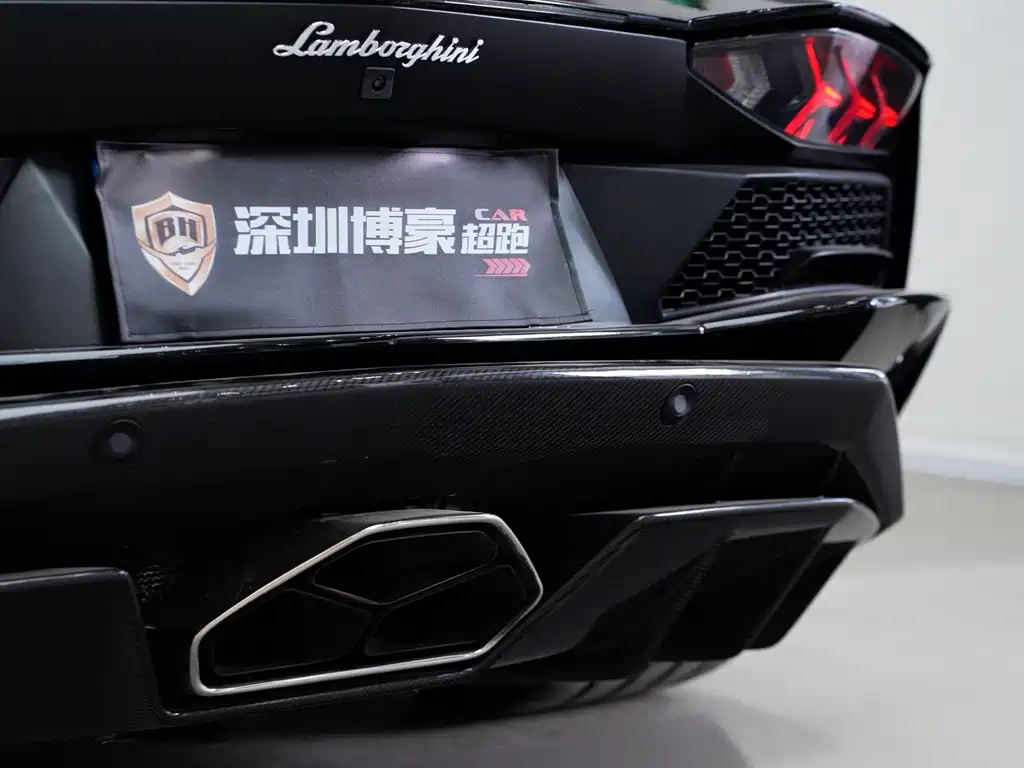 Lamborghini Aventador — фото 30
