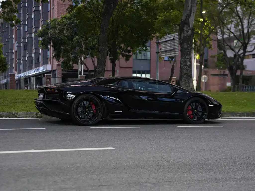 Lamborghini Aventador — фото 11