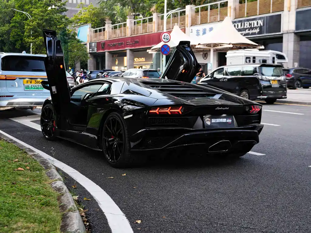 Lamborghini Aventador — фото 3