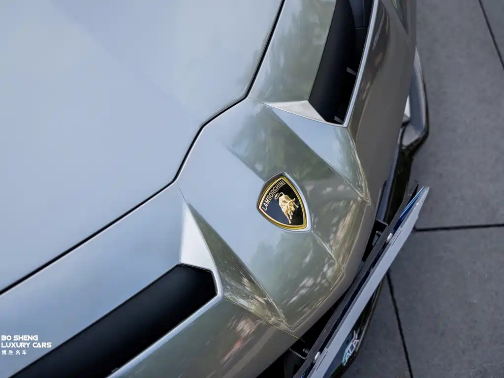 Lamborghini Aventador — фото 30