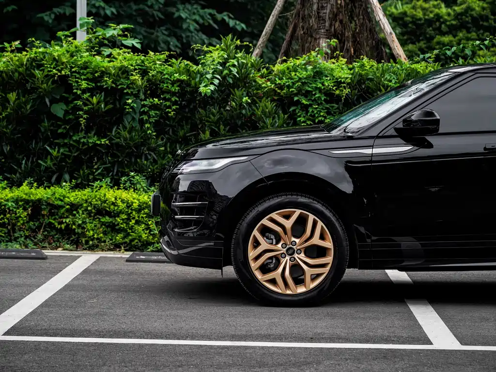 Land Rover Evoque — фото 20