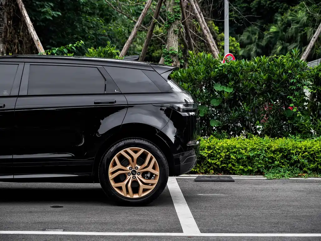 Land Rover Evoque — фото 21