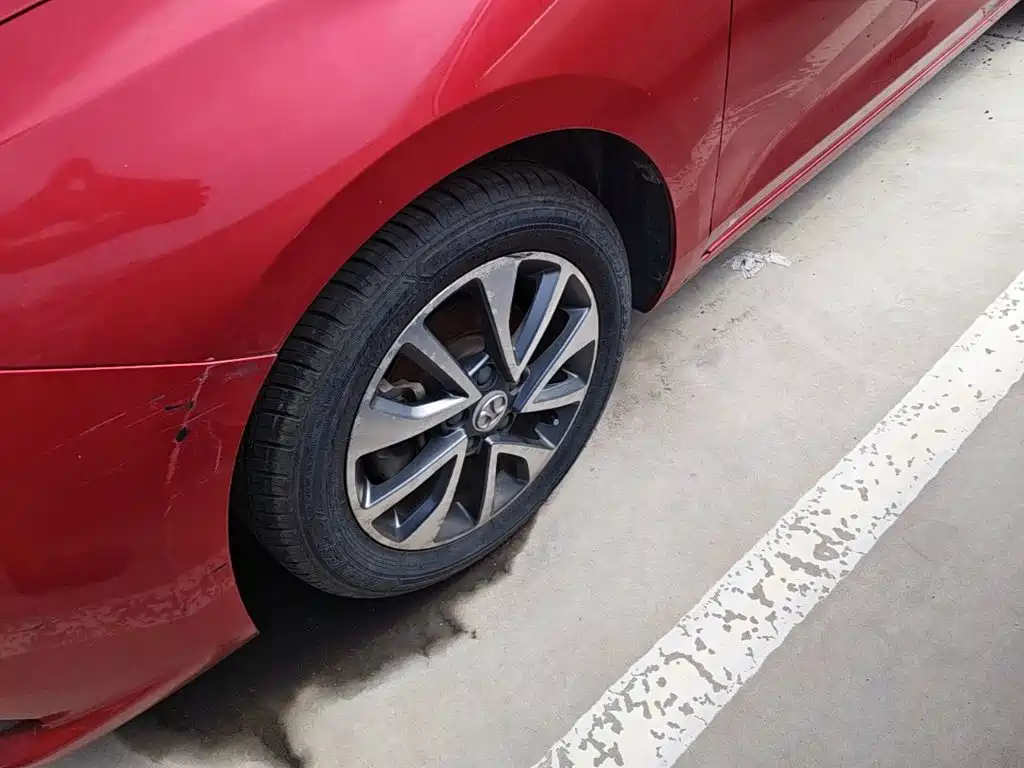 BAIC Senova D50 — фото 23