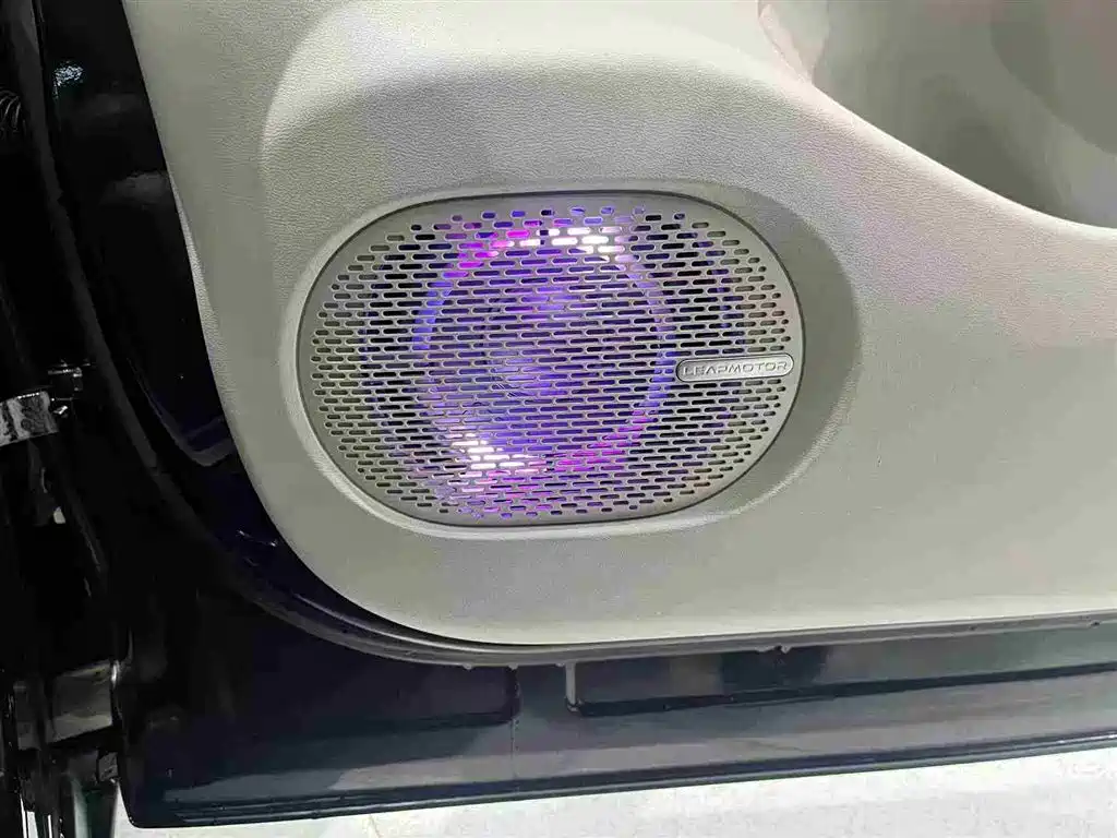 Leapmotor Leapmotor C11 — фото 29