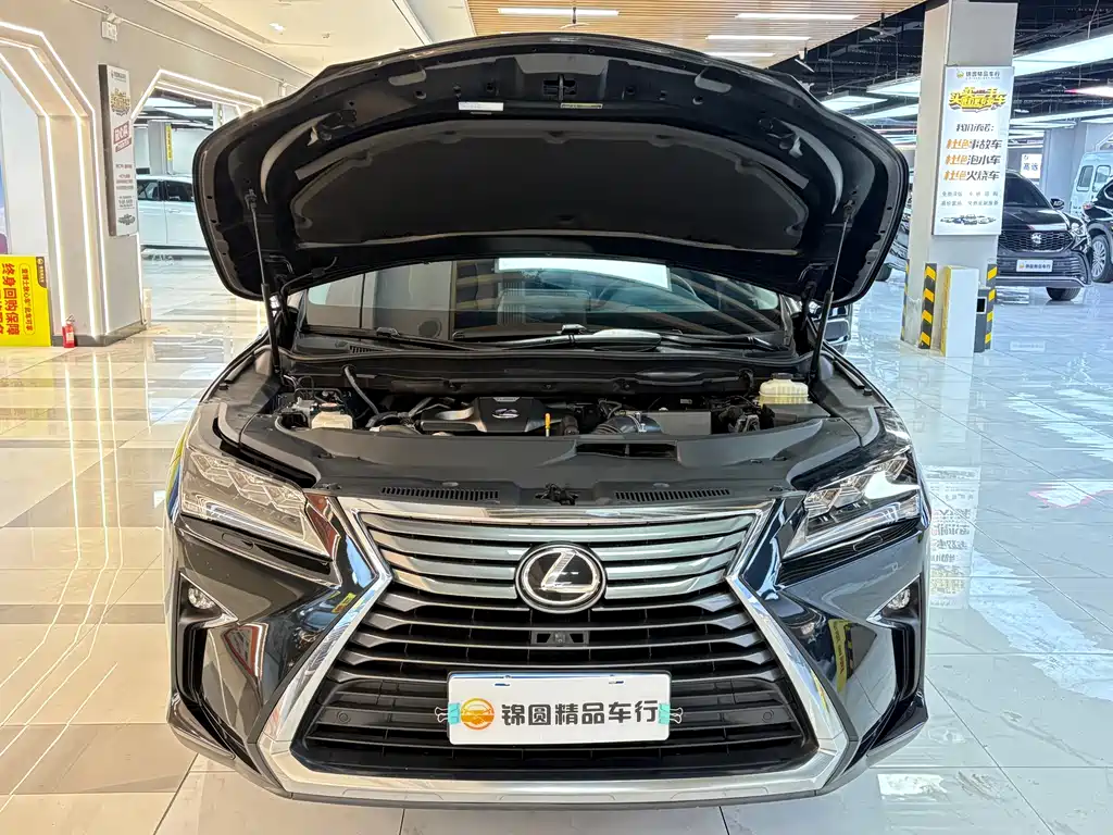 Lexus RX — фото 21