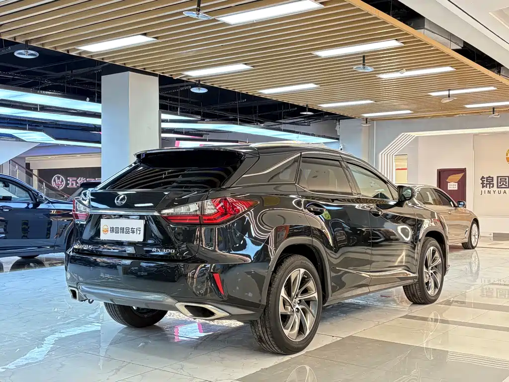 Lexus RX — фото 5