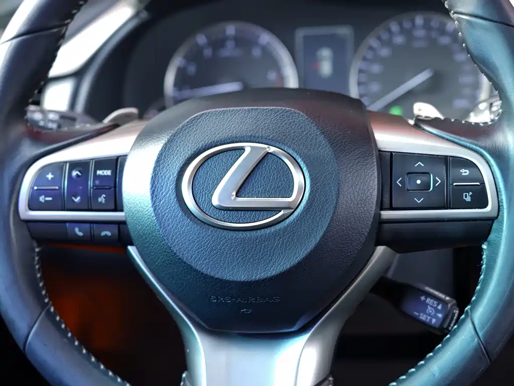Lexus RX — фото 14