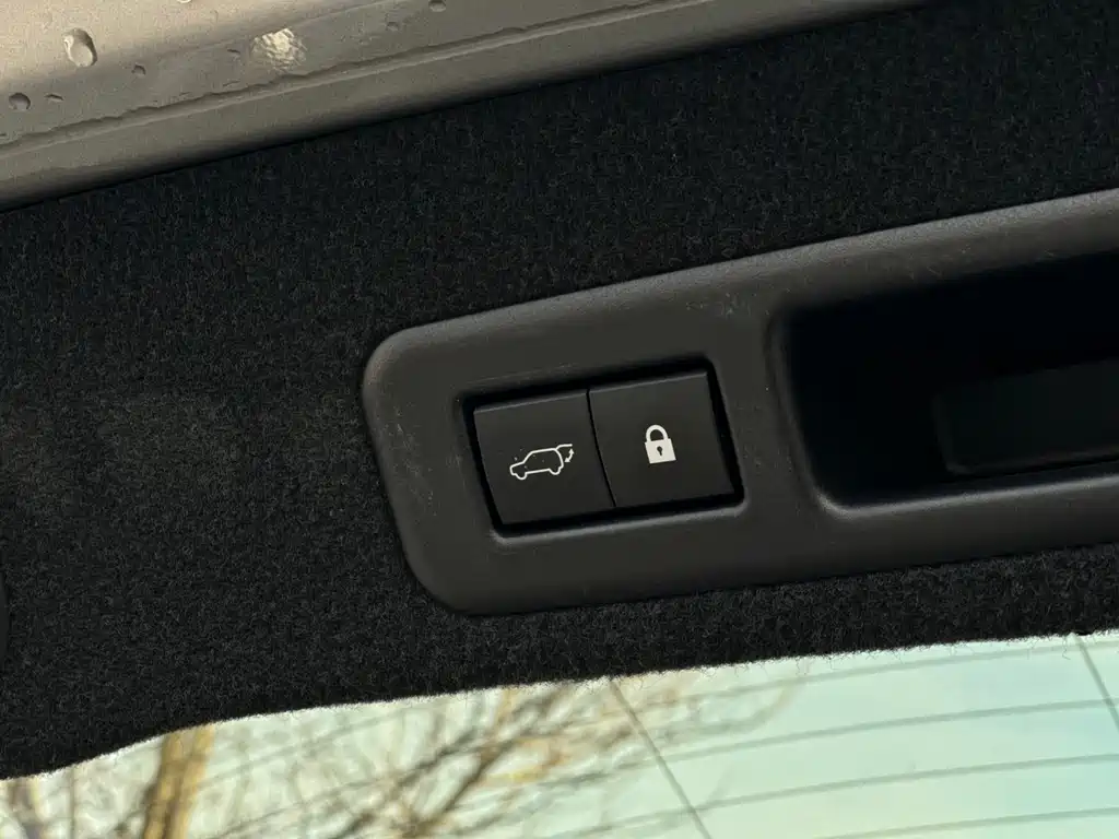 Lexus RX — фото 15
