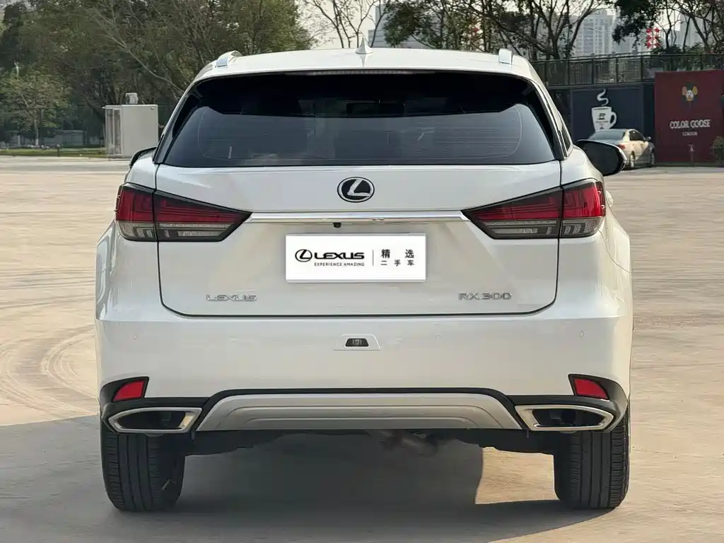 Lexus RX — фото 4