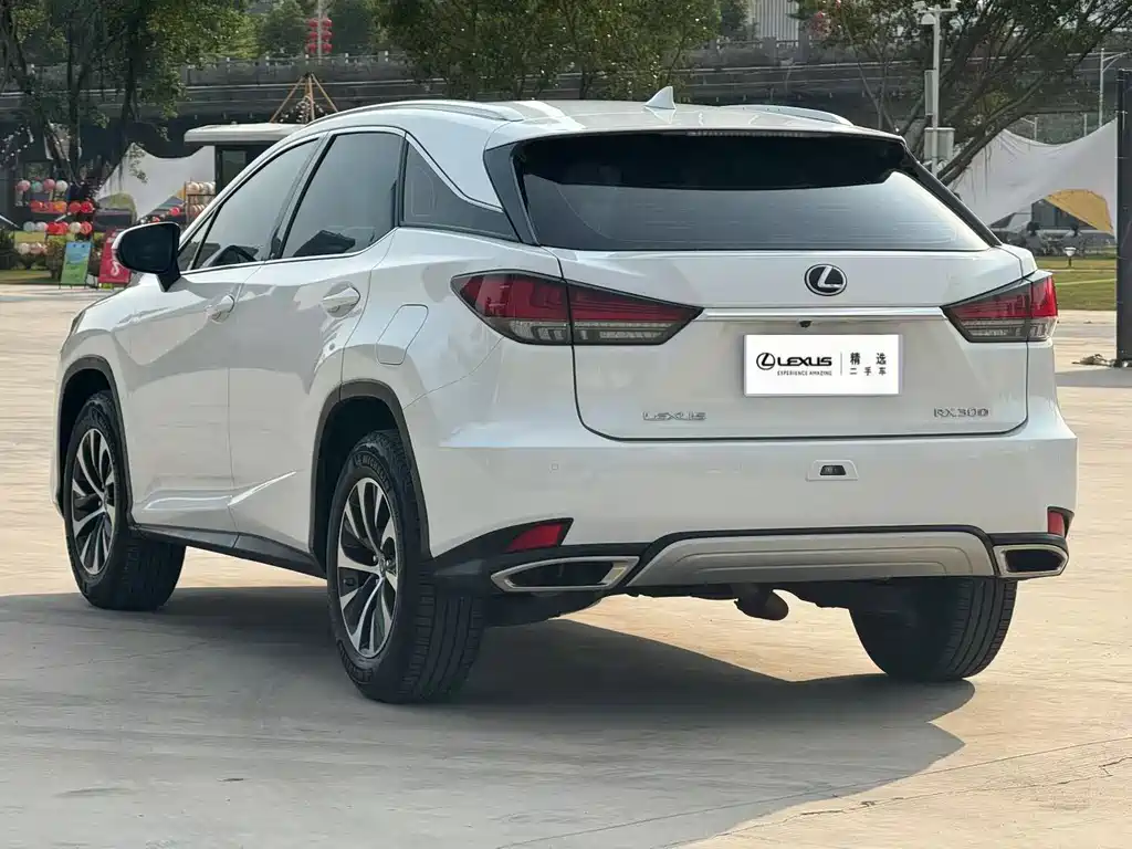 Lexus RX — фото 5